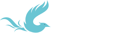 Phoenix Corporation