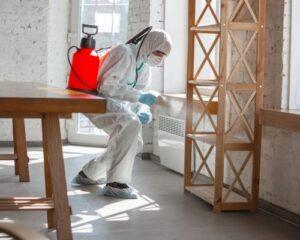 Pest Control Services