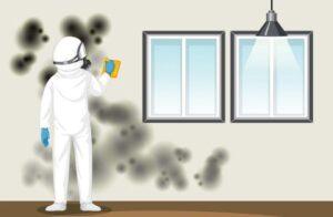 Restoration Cleaning