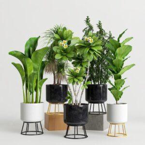 Artificial Plants Indoor Outdoor