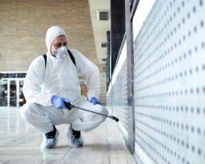 Safe and Effective Pest Control Services in Qatar 1