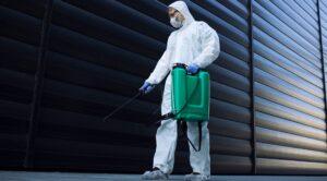 Safe and Effective Pest Control Services in Qatar 2