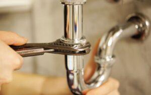 wepik export 20230814072358vYKZ