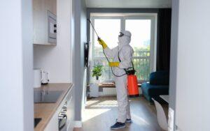 Pest Control Services