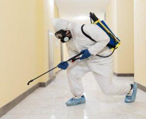 Soft services in qatar