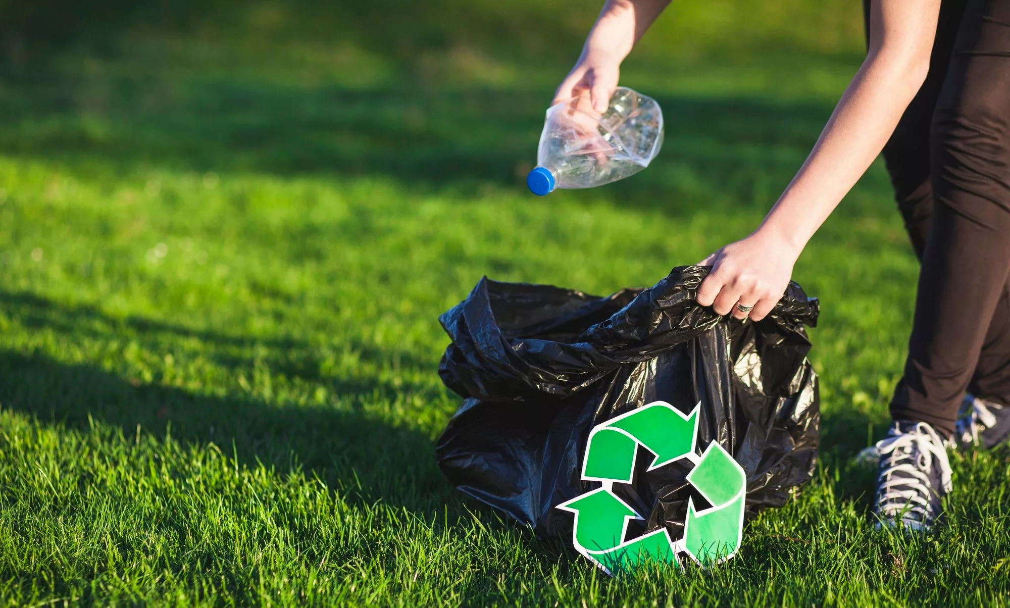 Waste Management in Qatar Leading Provider of Waste Disposal