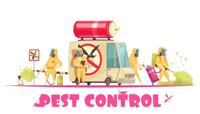 Best Pest Control Services in Qatar