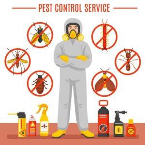 Pest Control Services in Qatar 2