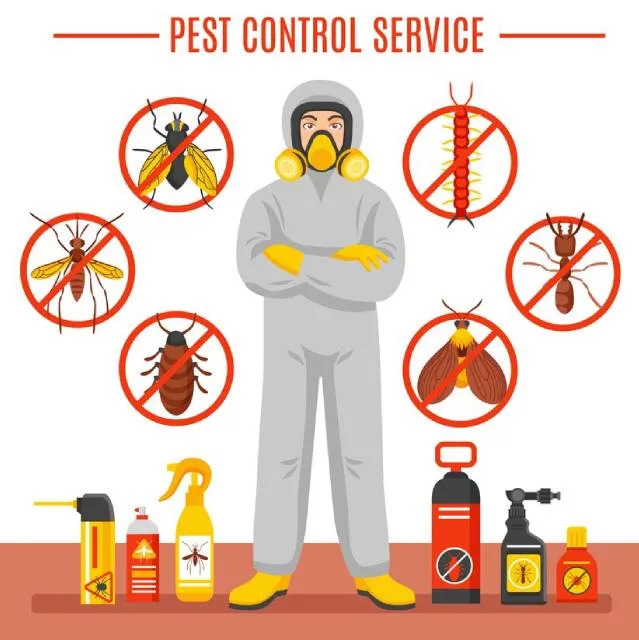 Pest Control Services in Qatar (2)