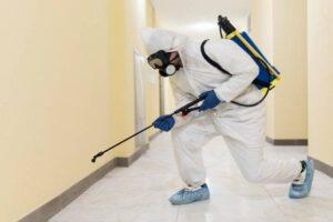 Pest control Services In qatar 1