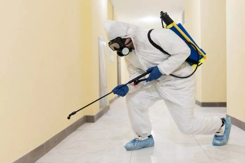 Pest control Services In qatar 