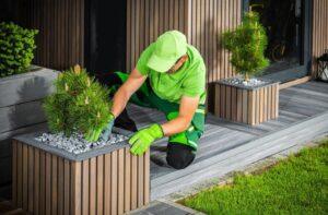 landscaping maintenance in qatar